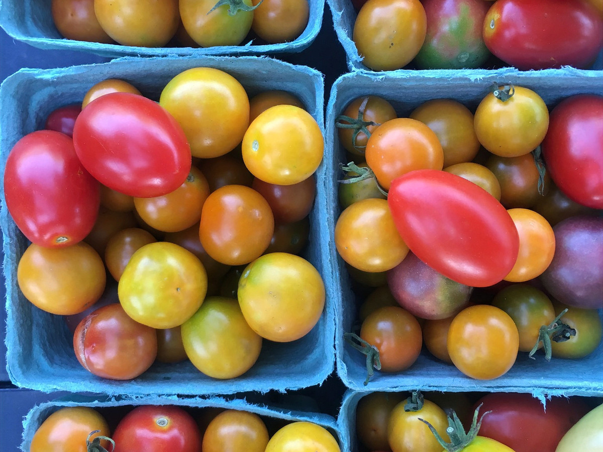 Colorful locally grown tomatoes arranged in market baskets
